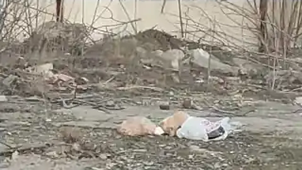 Bin Diesel: uwięziony w śmieciach