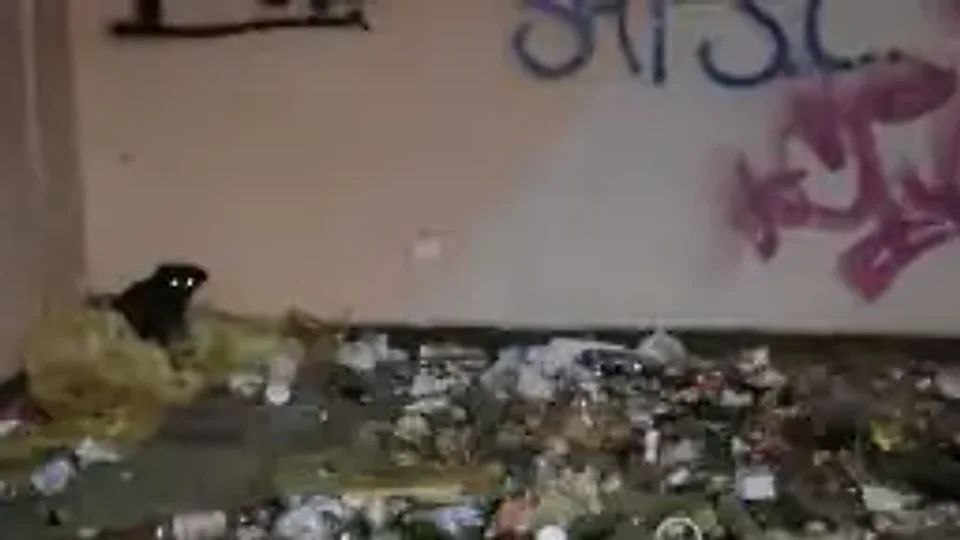 Corner O'Brien: Broken glass all around