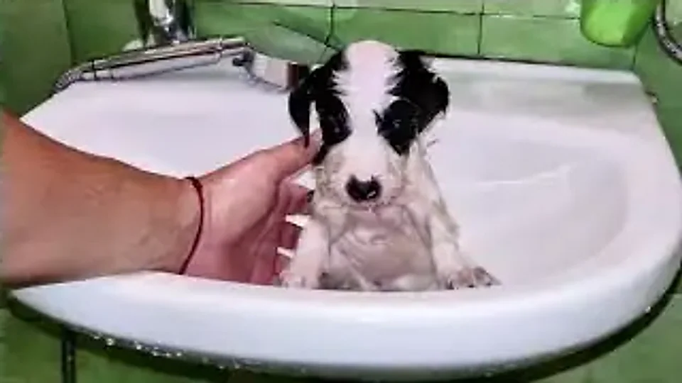 Dolly Patchton: A bath, then sleep
