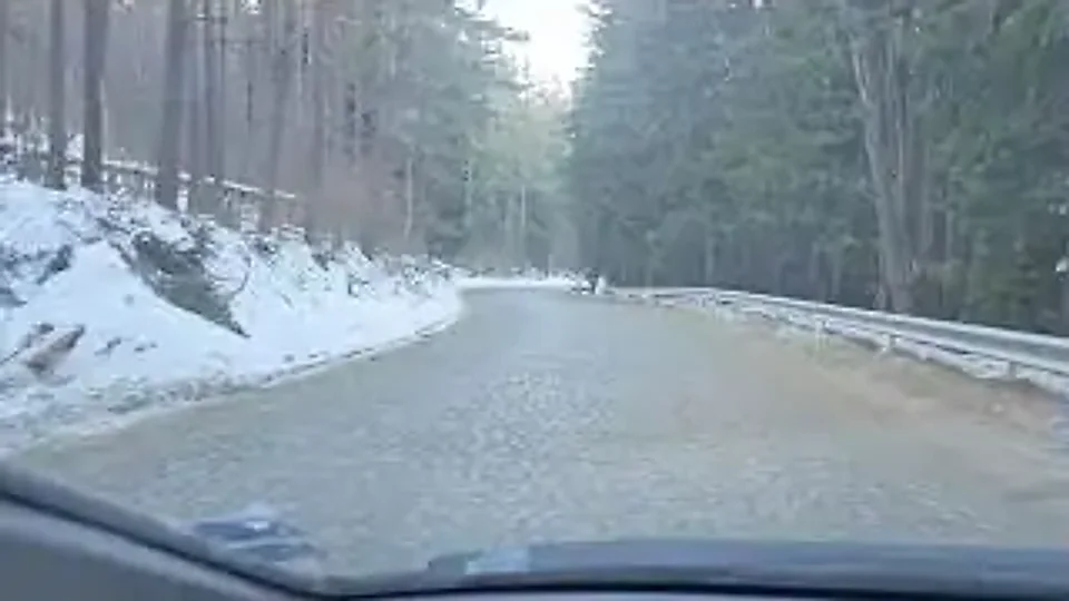 Hugh Jackal: Abandoned in the cold