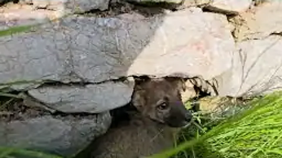 Hidey Klum: Under the stone wall