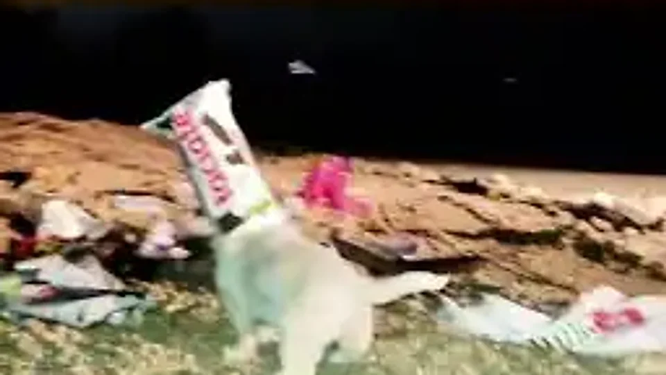 Milky Cyrus: algo se mexeu no escuro