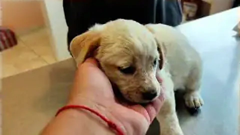Milky Cyrus: um lar só dela