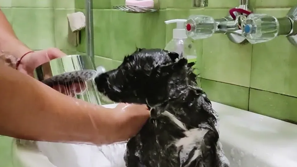 Merrill Street: Washing the day away