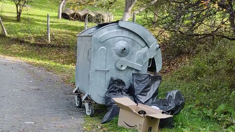 Parcel Hilton: An Amazon box by the trash