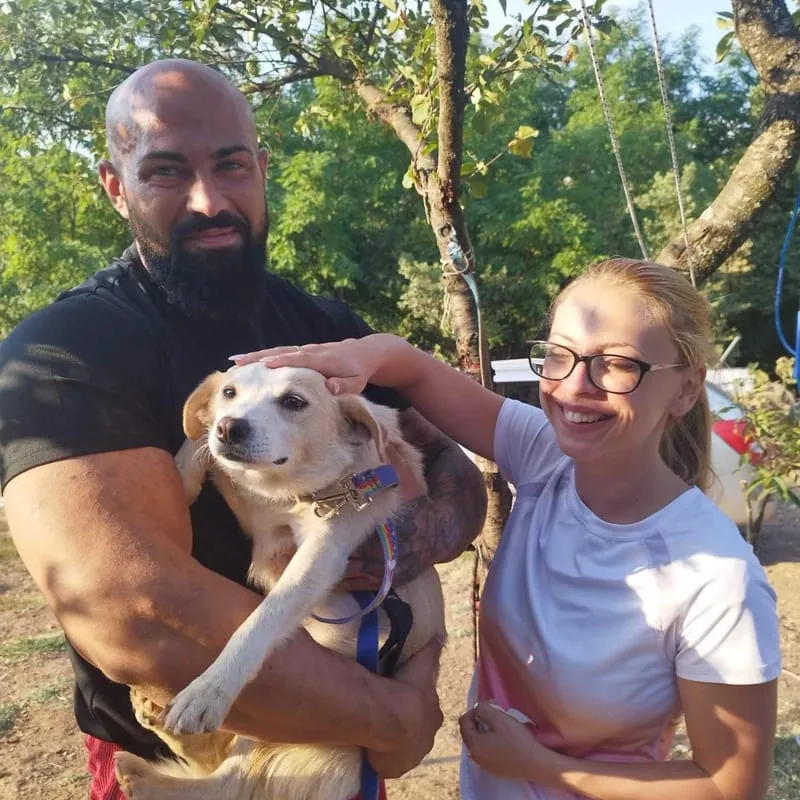 A man holding the dog while a woman strokes her head, outdoors