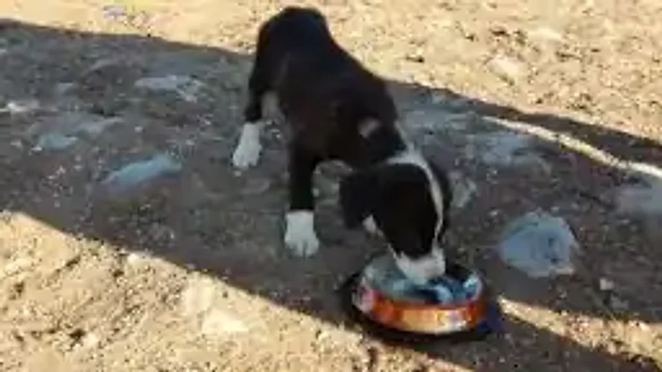 Road Stewart: Every last bite
