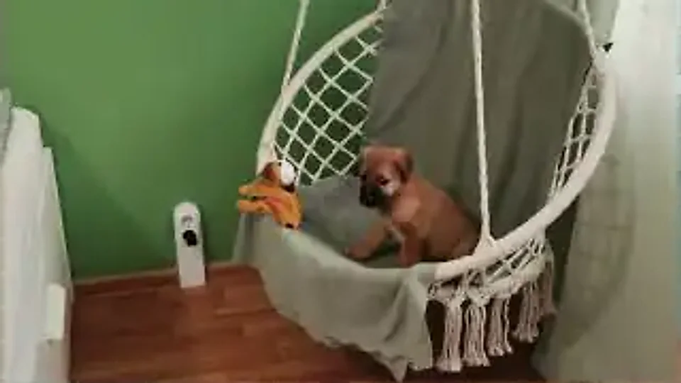 Tread Danson: A new place to rest